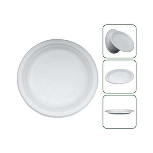 Disposable 10 Inch Round Plate