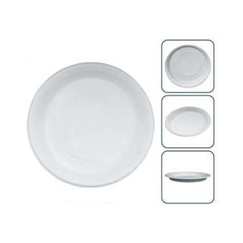 Disposable 11 Inch Round Plate