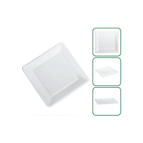 Disposable 7 Inch Square Platter Plate