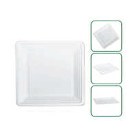Disposable 8 Inch Square Platter Plate
