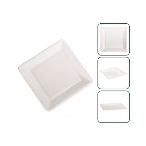 Disposable 9 Inch Square Platter Plate