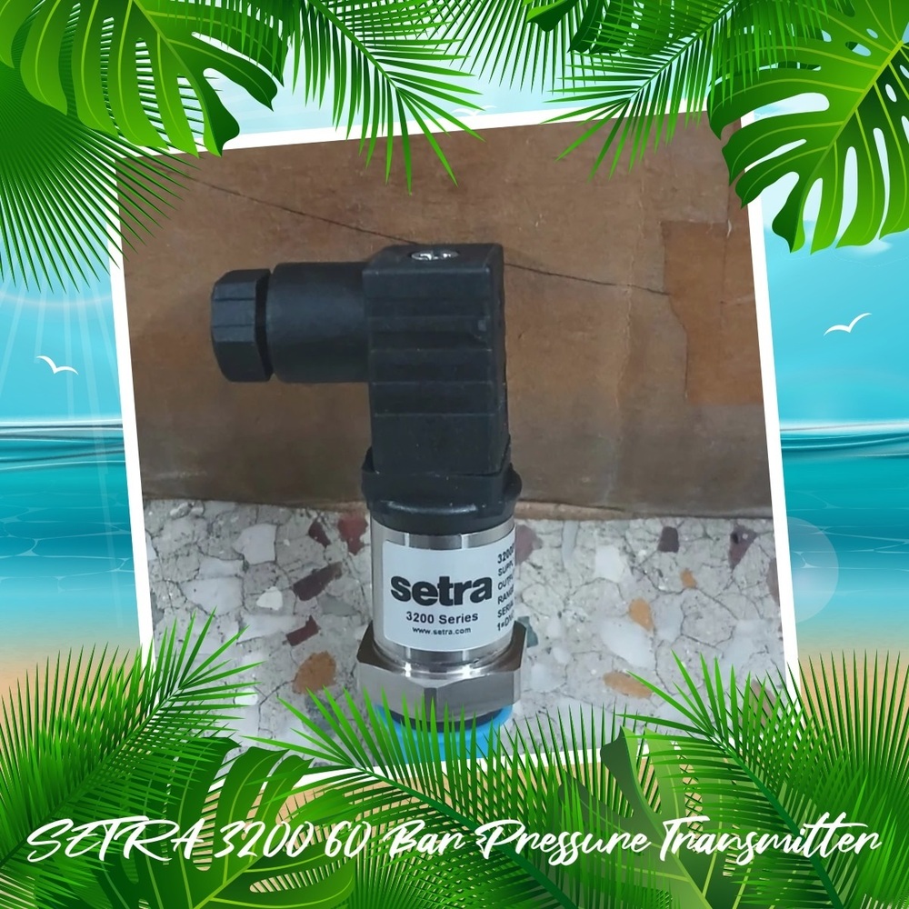 Setra 3200B0060G05Br2 Pressure Transmitter 0-60 Bar | Delhi Ncr India - Accuracy: 0.25 %