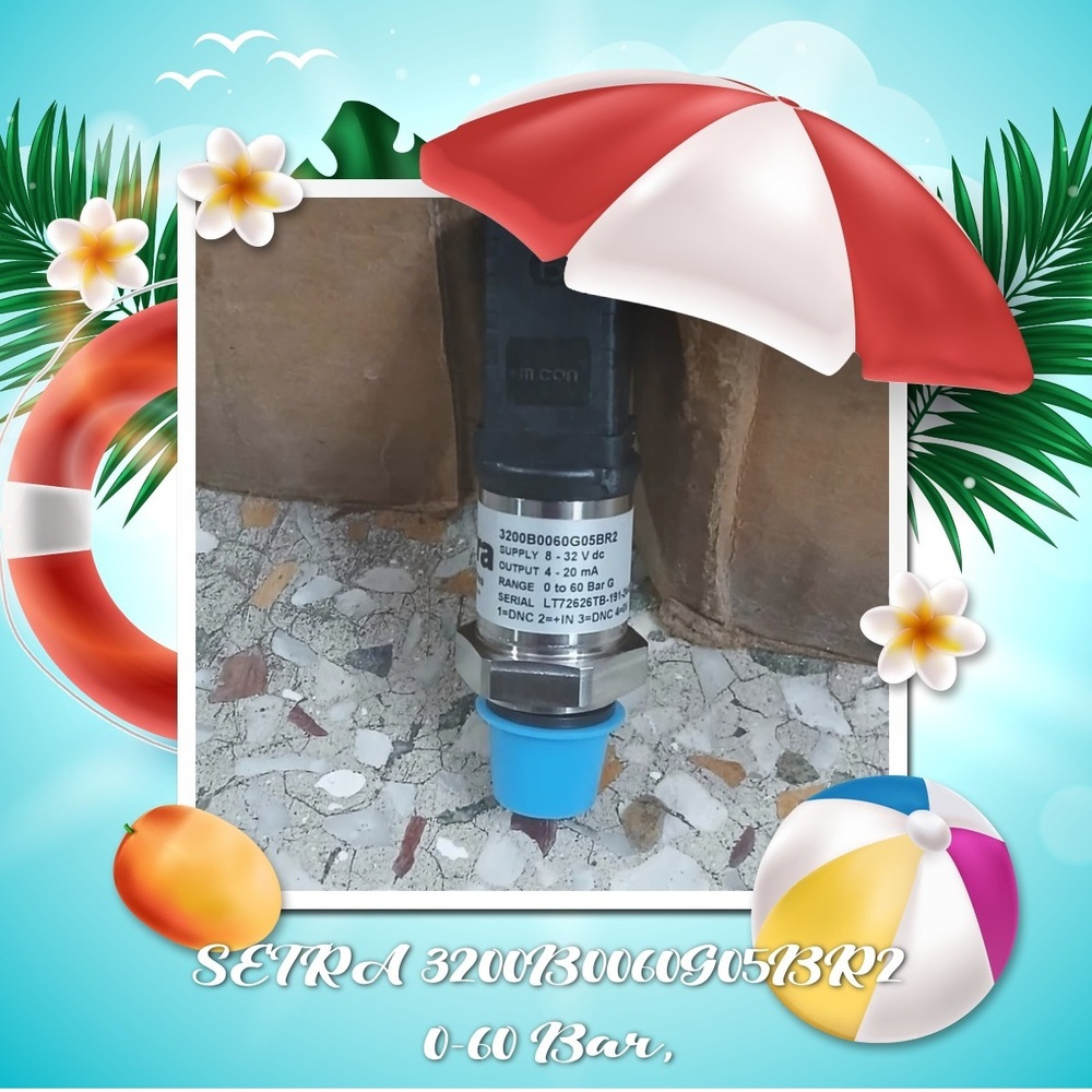 SETRA 3200B0060G05BR2 Pressure Transmitter 0-60 Bar | Delhi NCR India