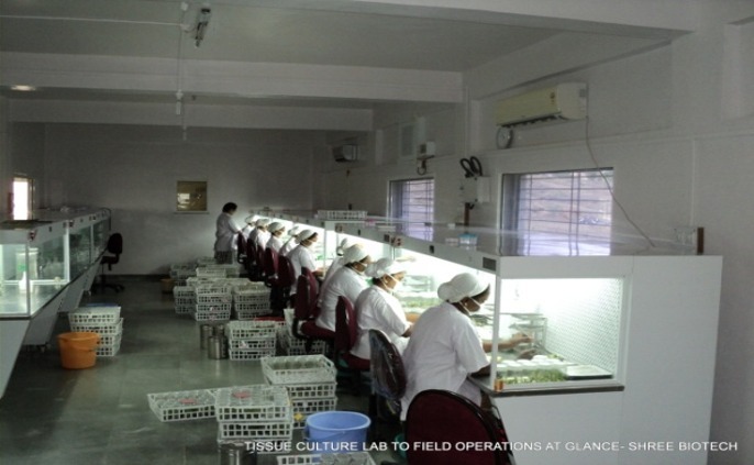 Internship Training