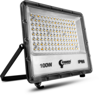 CHARZE DOB FLOOD LIGHT