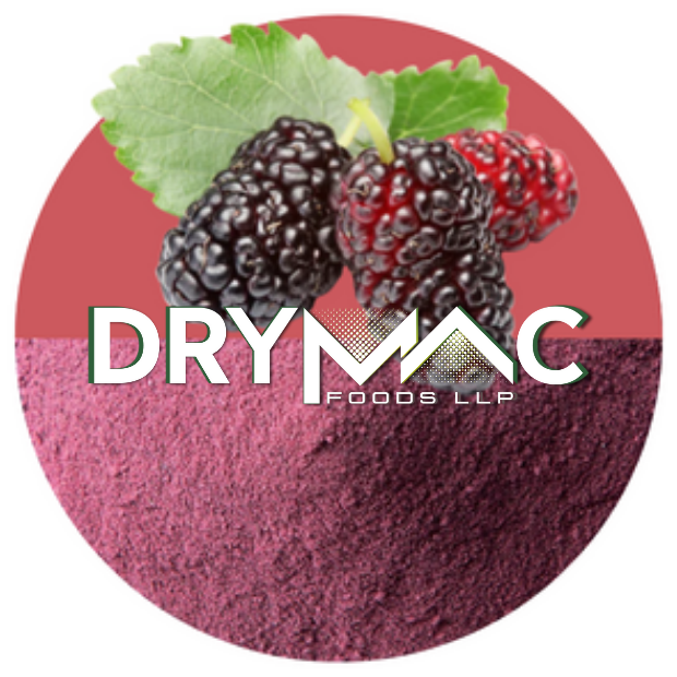 Spray Dried Mulberry Fruit Powder