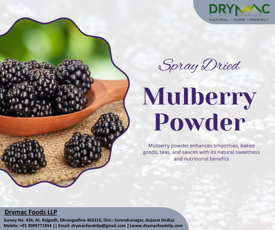Spray Dried Mulberry Fruit Powder