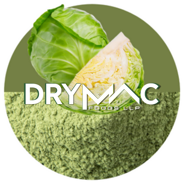 Spray Dried Cabbage Powder - Fine Powder, 12-month Shelf Life | Water Soluble, Ideal For Beverages, Health Foods, Bakery Goods, Baby Foods, And Jellies
