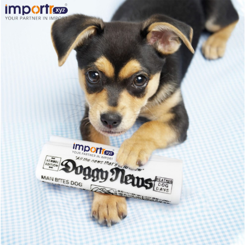Creative Vinyl Classic Newspaper Toys Made From Acrylic