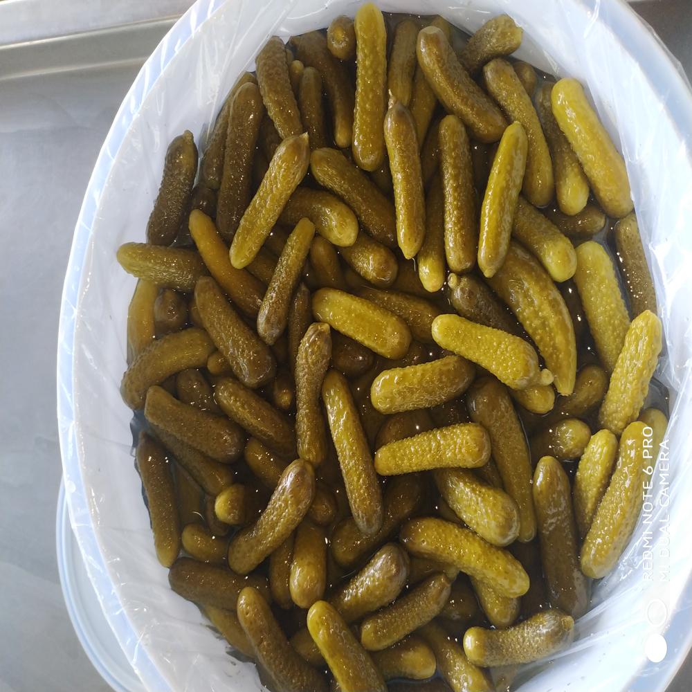 Baby Cucumbers In Plastic Pails