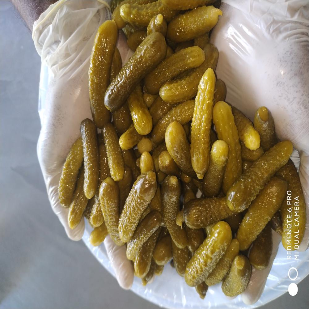 Baby Cucumbers In Plastic Pails
