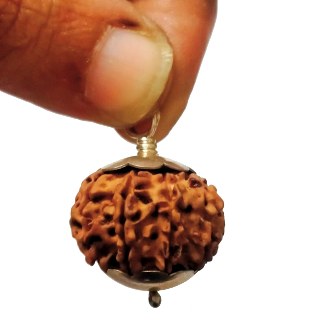 Natural 8 Mukhi Rudraksha
