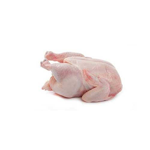 Fresh Meat