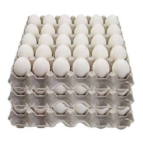 White Fresh Eggs