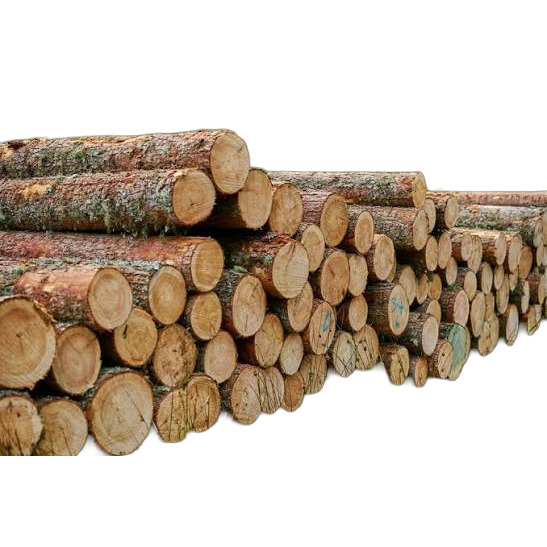 Sandalwood Logs