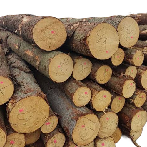 Round Wooden Spruce Logs