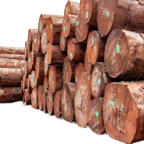 Tali Timber Hardwood Logs