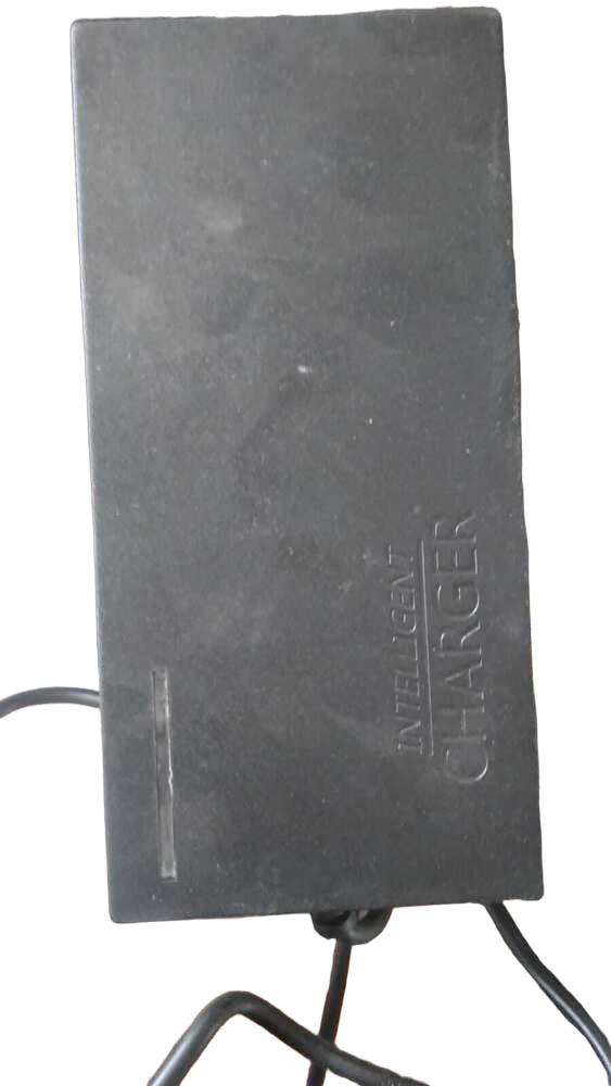 E SCOOTER 48 V CHARGER
