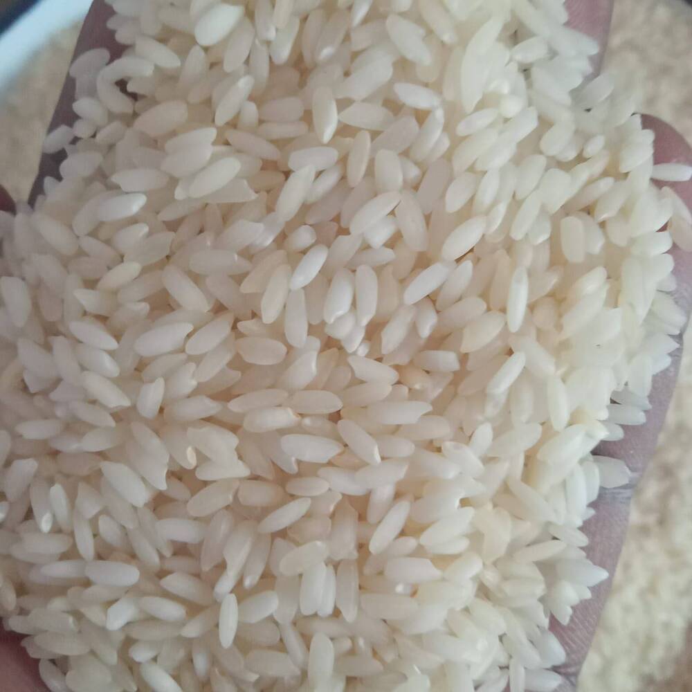 Sonamansuri Steam Rice