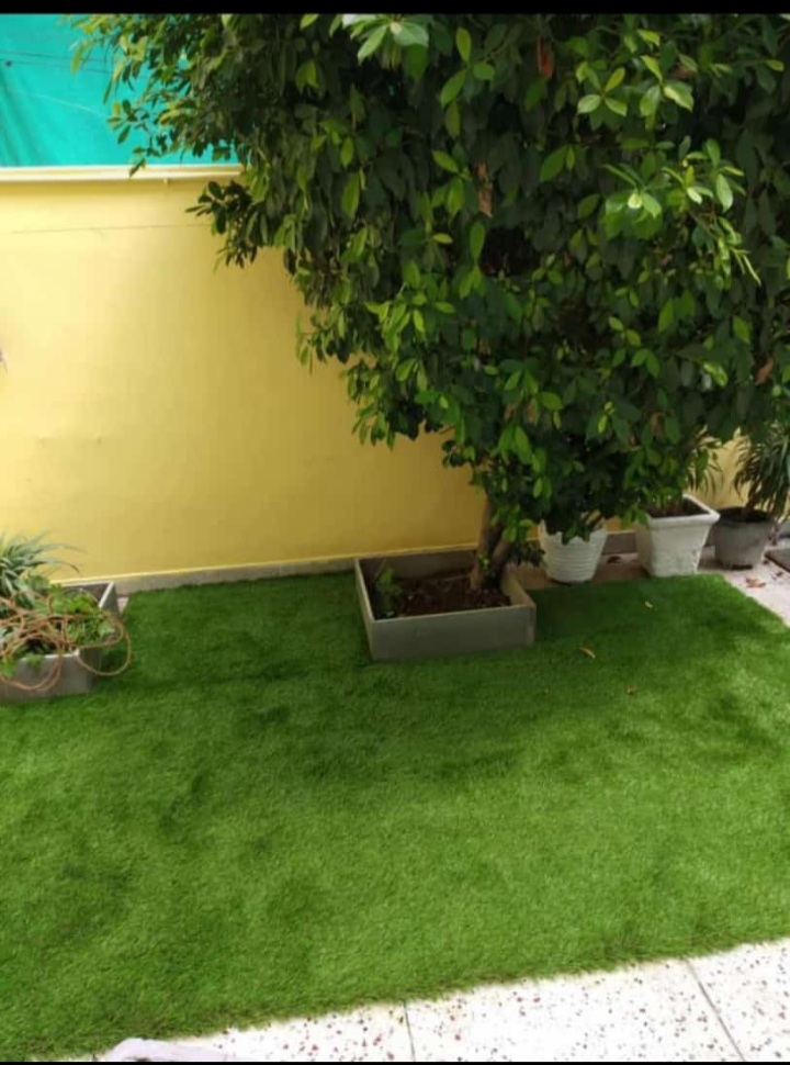 Green Artificial Grass - Feature: Easy To Clean