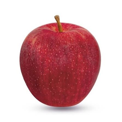 Gala Apple Fruits - Crop Year: 2026 Years
