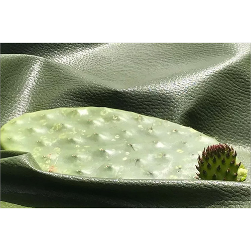 Cactus Leather