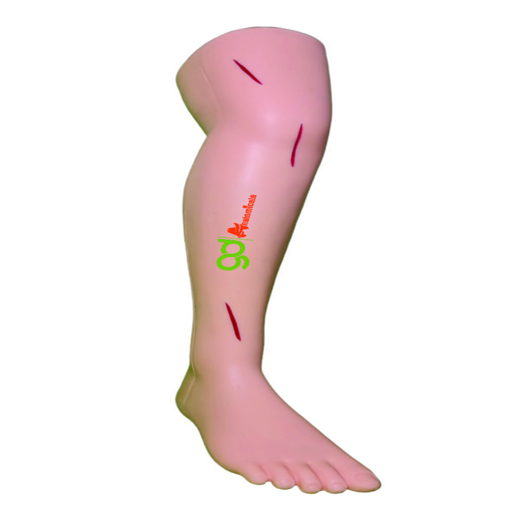 Suture Leg - Advantage: Reusable Training Aid