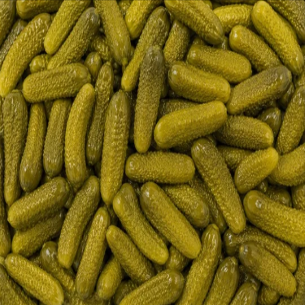 Fermented Gherkins