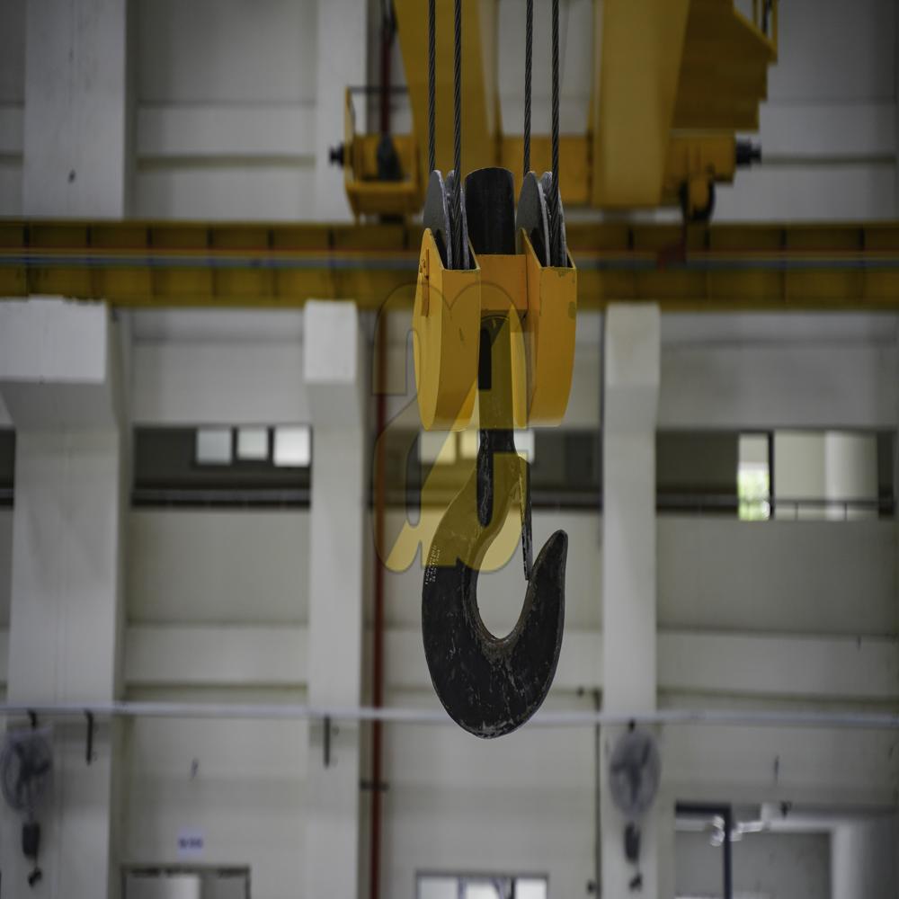 Double Girder EOT Crane