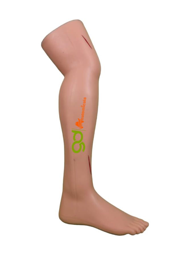 Suture Leg