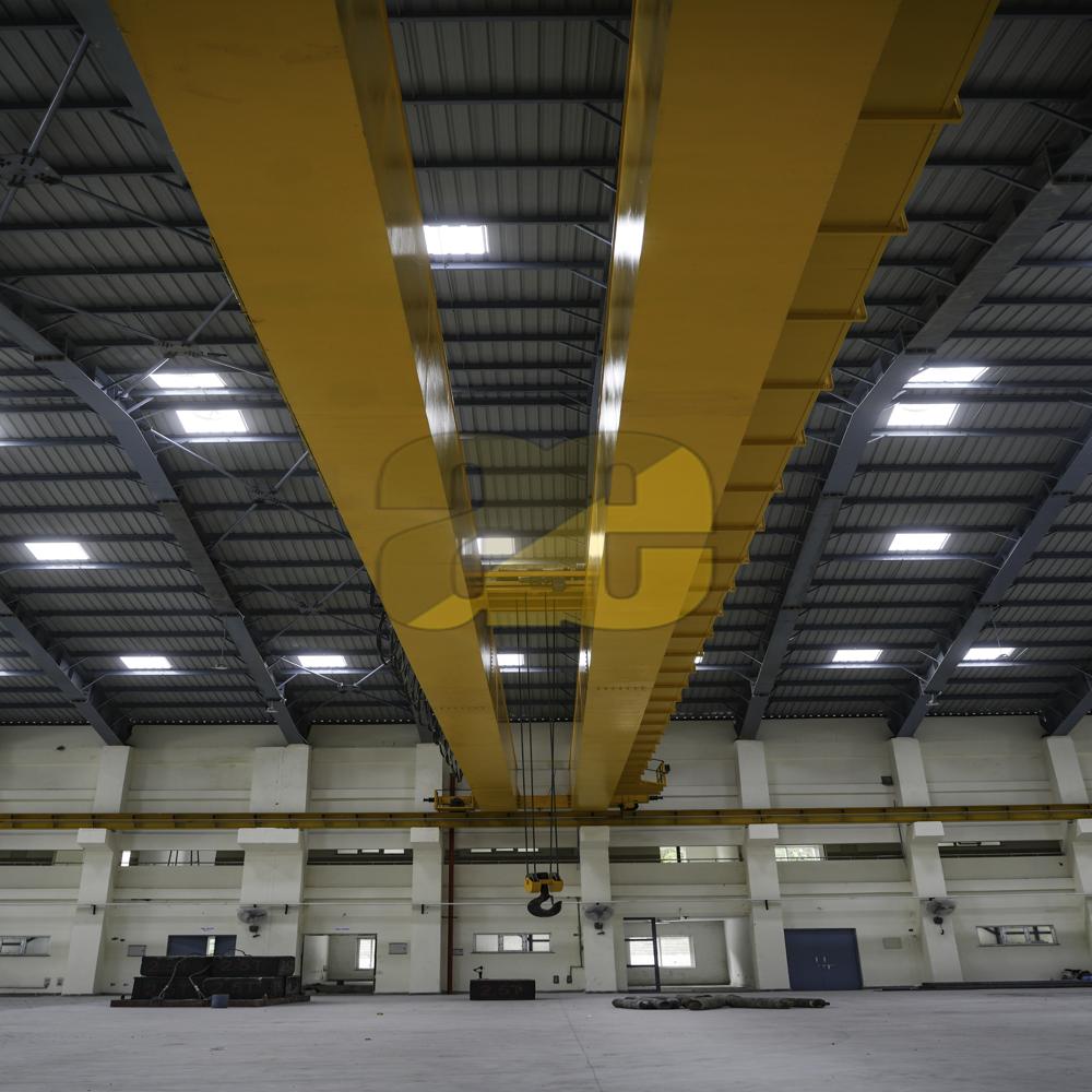 Double Girder Eot Cranes - Application: Factory