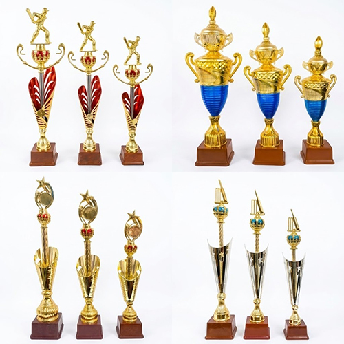 Premium Star Trophy