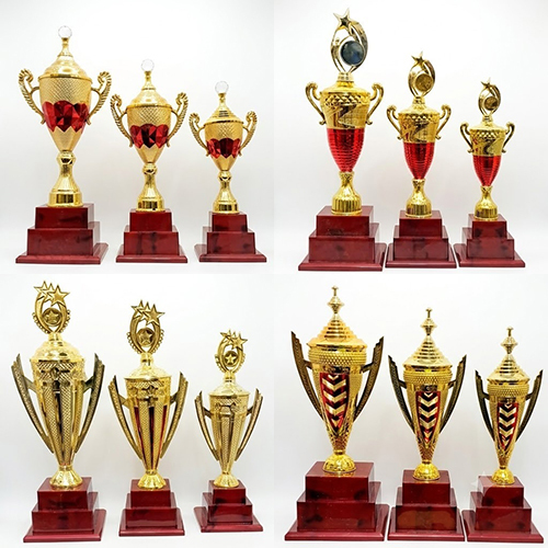 Star Achievement Trophy