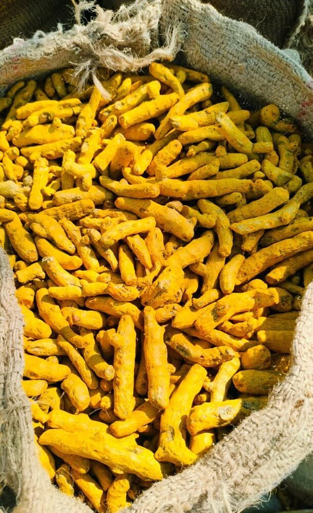 Turmeric Finger