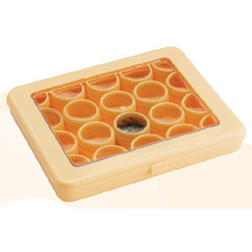 Box Plastic with 20 Round Plastic Tins (Transparent View)