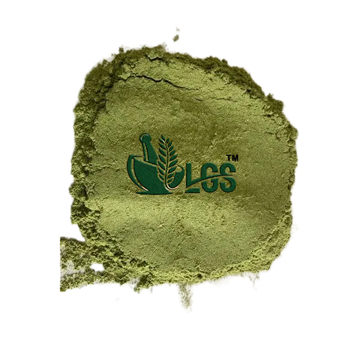 Premium Wheatgrass Powder - Cultivation Type: Organic