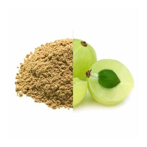 Premium Amla Fruit Powder