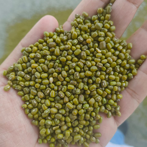 Green Moong Dal