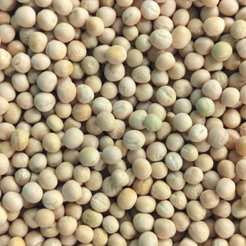 Matar Dal