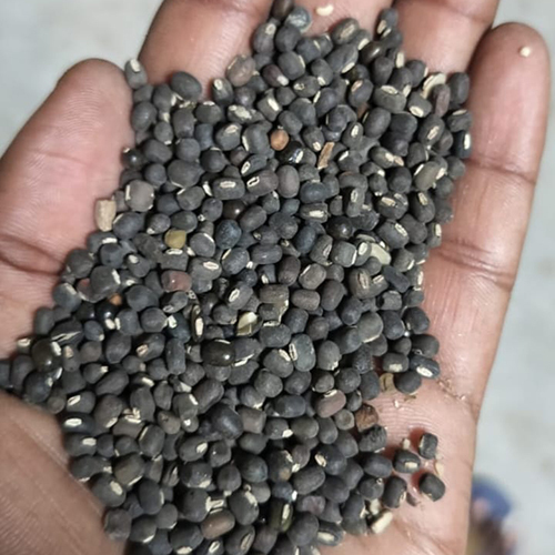 Urad Dal