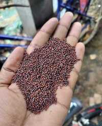 Black Mustard Seeds