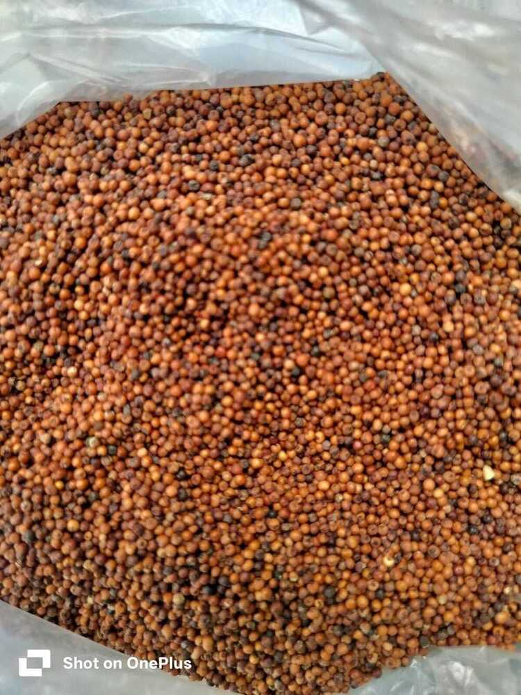 Ragi Grains