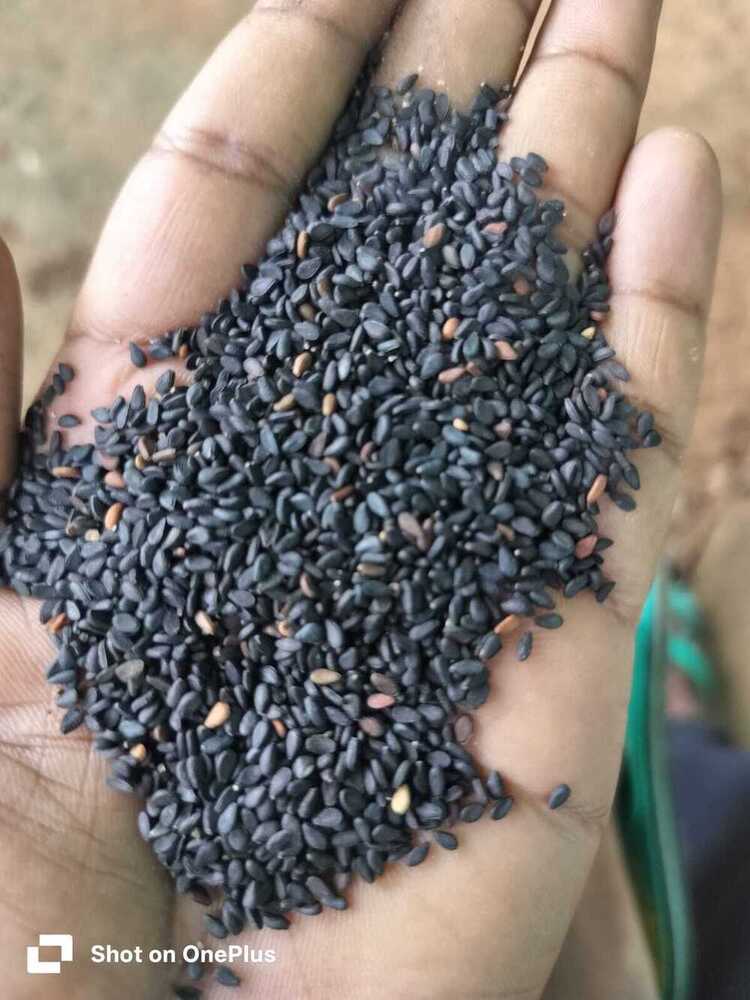 Black Sesame Seeds