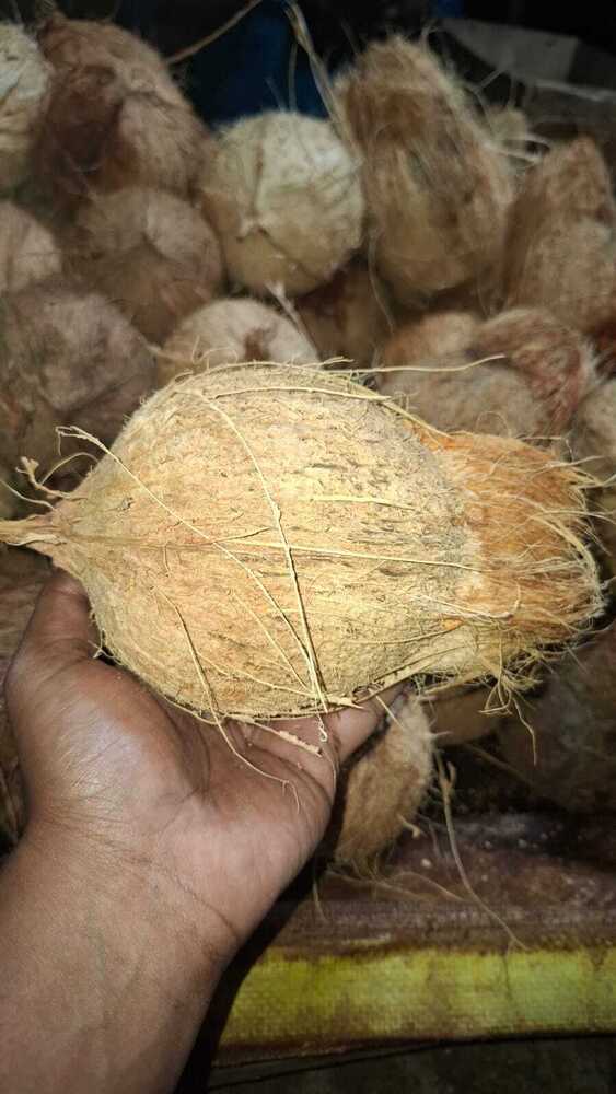 Natural Semi Husked Coconut