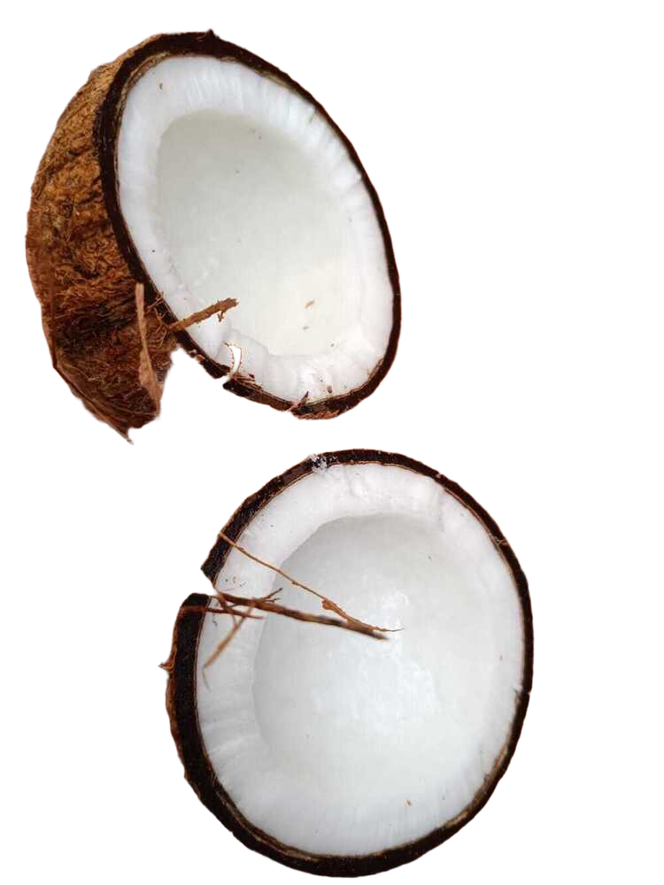 Natural Semi Husked Coconut