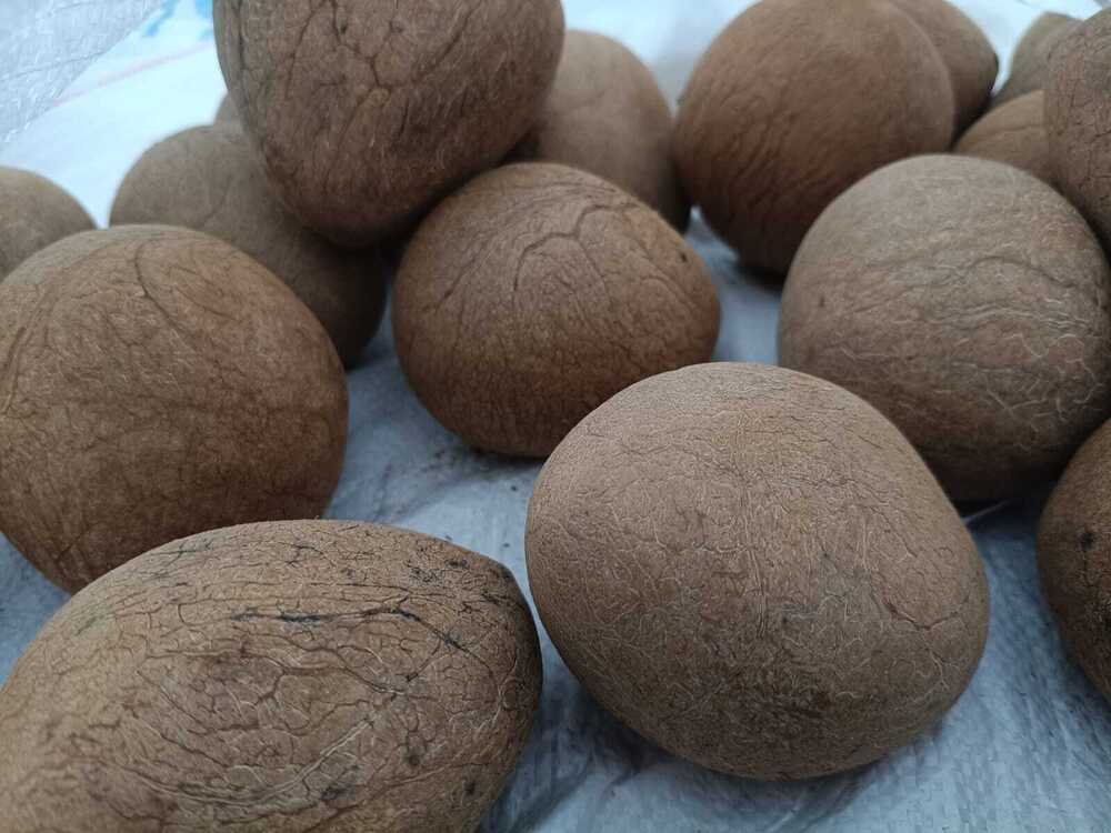 Natural Whole Copra