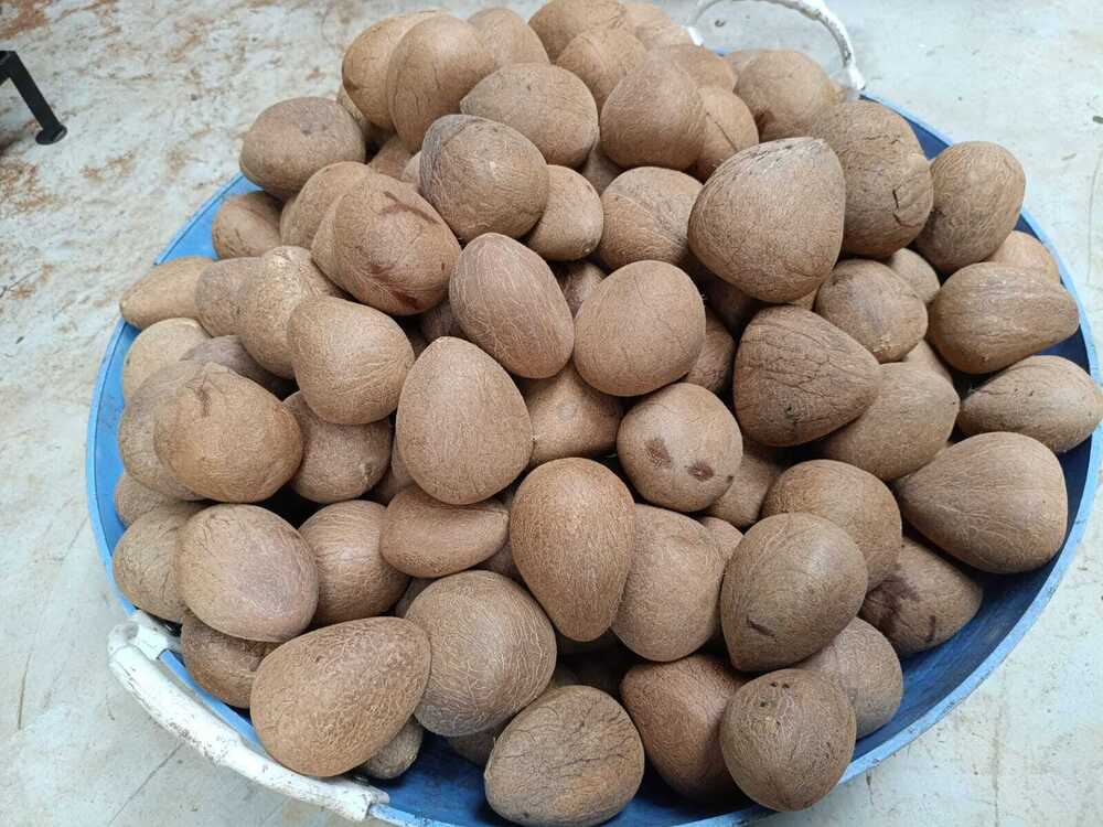 Dried Whole Copra