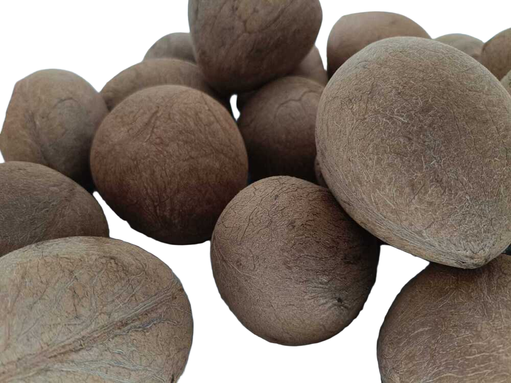 Dried Whole Copra