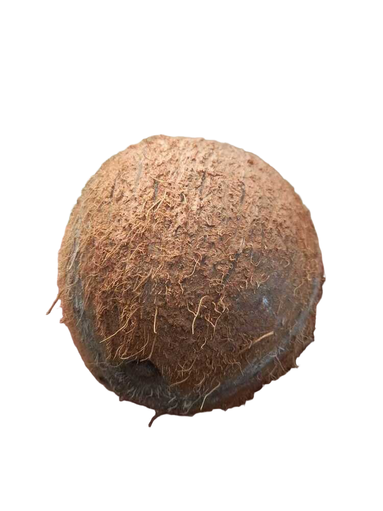 Natural Dehusked Coconut