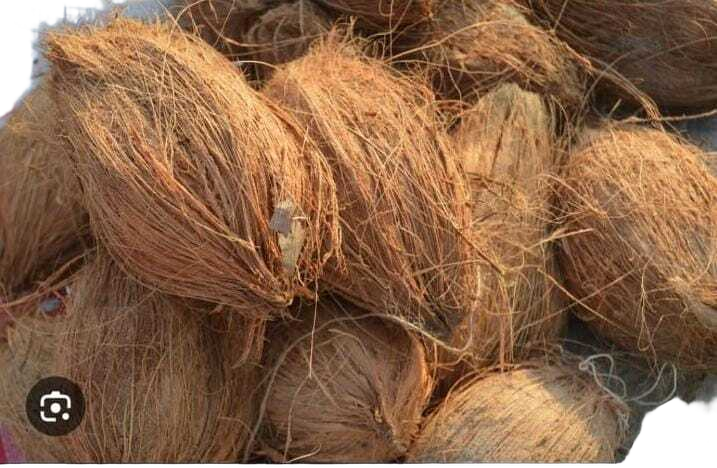 Fully Husked Coconut